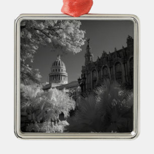 Infrarood van koepel van Capitool in Havana Metalen Ornament