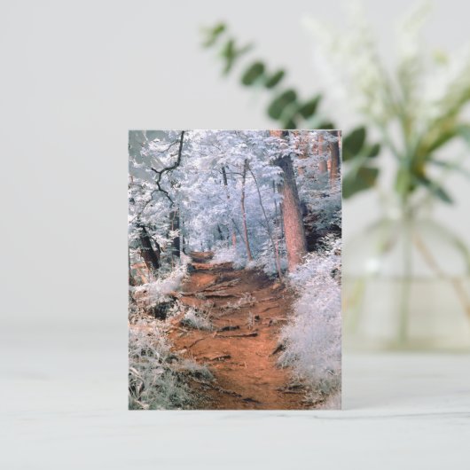 Infraroodbospad Briefkaart (Staand voorkant)