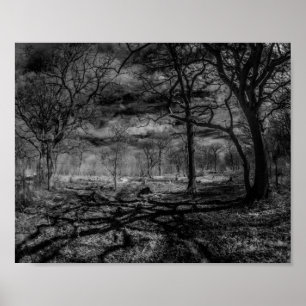 Infraroodlandschapsschaduwen in de bossen poster