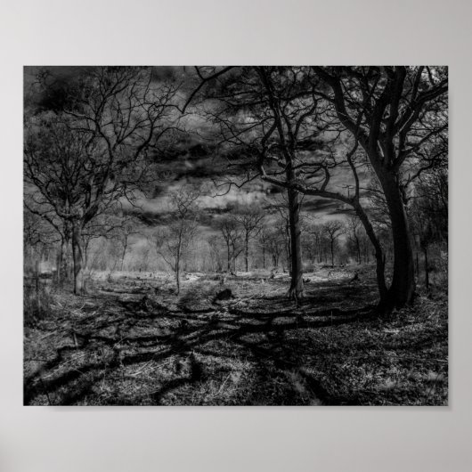Infraroodlandschapsschaduwen in de bossen poster (Voorkant)