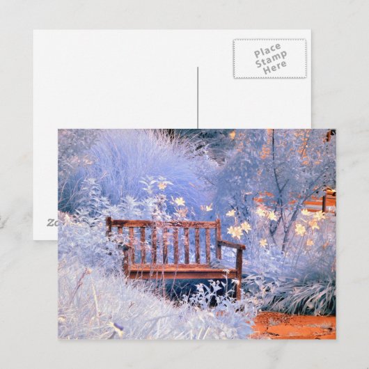 Infraroodparkbank Briefkaart (Voorkant / Achterkant)