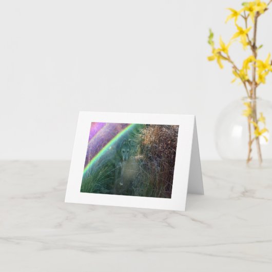 Ingang aan de Brug van de Regenboog Kaart (Gele Bloem)