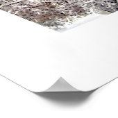 Ingang Burial Hill Plymouth MA collage Poster (Hoek)