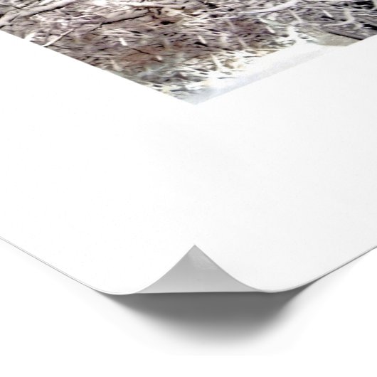 Ingang Burial Hill Plymouth MA collage Poster (Hoek)