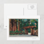 Ingang naar Big Trees Park, Santa Cruz County Briefkaart (Voorkant / Achterkant)