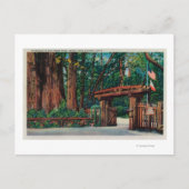 Ingang naar Big Trees Park, Santa Cruz County Briefkaart (Voorkant)