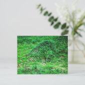 Ingang naar Faery I Briefkaart (Staand voorkant)
