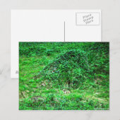Ingang naar Faery I Briefkaart (Voorkant / Achterkant)