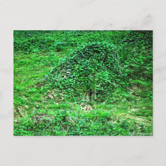 Ingang naar Faery I Briefkaart (Voorkant)