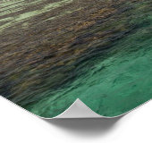 Ingang op beroemde blauwe hekel poster (Hoek)