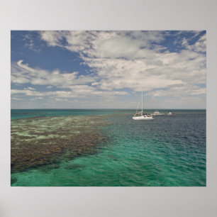 Ingang op beroemde blauwe hekel poster