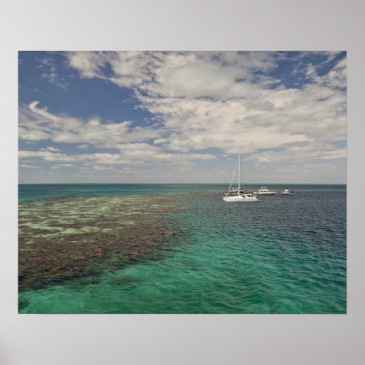 Ingang op beroemde blauwe hekel poster (Voorkant)