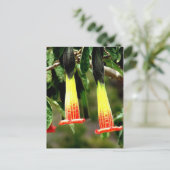 Ingapirca Inca ruins, Ecuador Briefkaart (Staand voorkant)