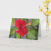 Ingebakken rode hibiscus, Louise's Bloem Kaart (Gele Bloem)
