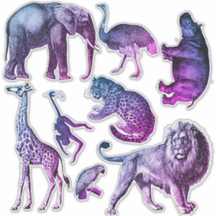 Ingekleurde dierentuin sticker
