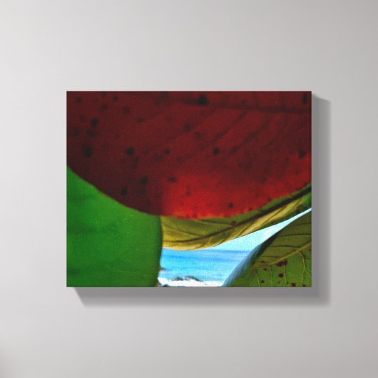 Ingelijst door Natuur - Tropische bladeren en ocea Canvas Afdruk (Voorkant)
