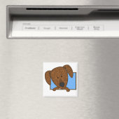 Ingelijste Cartoon Plott Hound Magnet (Insitu (Vaatwasser))