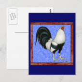 Ingelijste Gamecock Briefkaart (Voorkant / Achterkant)