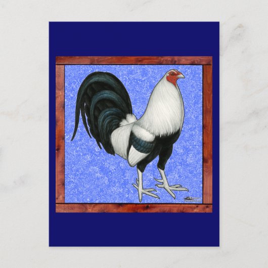Ingelijste Gamecock Briefkaart (Voorkant)