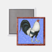Ingelijste Gamecock Magneet (Voorkant / Achterkant)