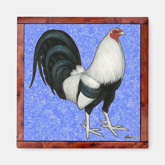Ingelijste Gamecock Magneet (Voorkant)