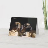 Ingelijste Mastiff Pair Kaart (Achterkant)