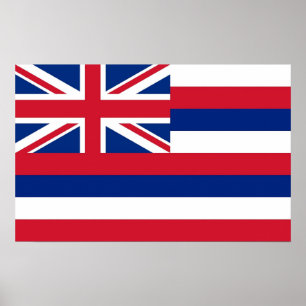 Ingelijste print met vlag van Hawaï, U.S.A.