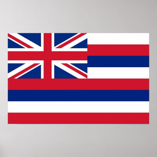 Ingelijste print met vlag van Hawaï, U.S.A. (Voorkant)