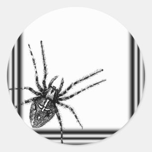 Ingelijste Tarantula Halloween Ronde Sticker