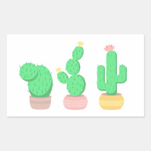 Ingemaakte Cactussen - het Plant van de Cactus Rechthoekige Sticker