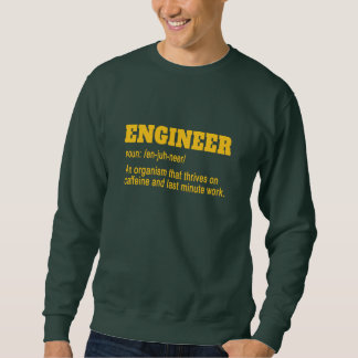 Ingenieur Trui