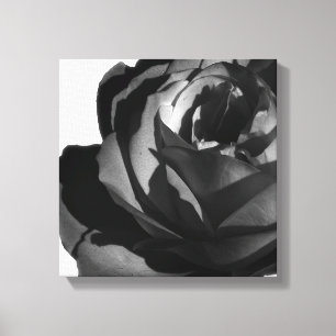 Ingepakt canvasprint, Zwarte roos bloei Canvas Afdruk