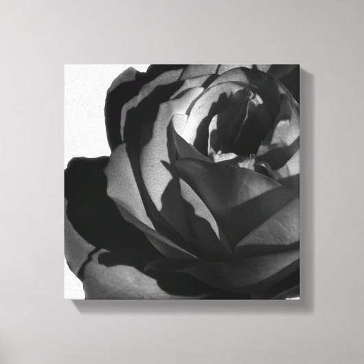Ingepakt canvasprint, Zwarte roos bloei Canvas Afdruk (Voorkant)