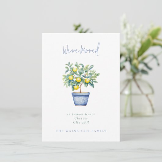 Ingepotte citroenboom We hebben nieuw adres verpla Aankondiging (Staand voorkant)