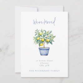 Ingepotte citroenboom We hebben nieuw adres verpla Aankondiging