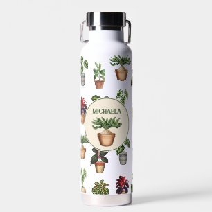 Ingepotte Planten Terracotta Pots Naam Waterfles