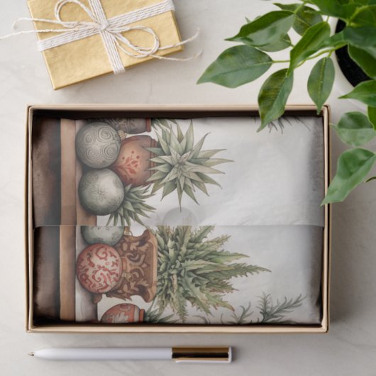 Ingepotte vetplanten zuidwestelijke cactus kerst tissuepapier (Geschenk)