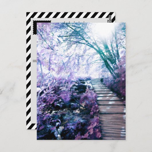 ingeruild pad briefkaart (Voorkant / Achterkant)