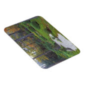 Ingevroren tempel, Ohara, Kyoto, Japan 2 Magneet (Rechterzijde)