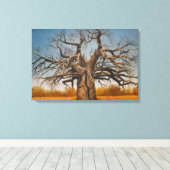 Ingewikkeld canvas van baobab boom (Insitu (Houten vloer))