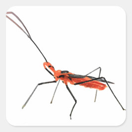 Ingewikkelde Assassin Bug Sticker