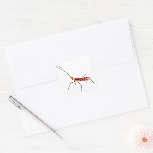 Ingewikkelde Assassin Bug Sticker (Envelop)