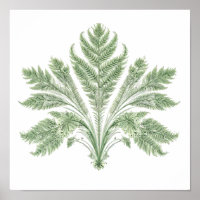Ingewikkelde Botanische Symmetrie: Fractale Flora