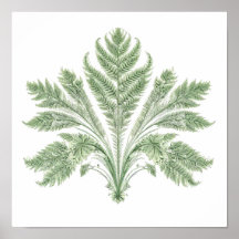 Ingewikkelde Botanische Symmetrie: Fractale Flora