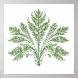 Ingewikkelde Botanische Symmetrie: Fractale Flora Poster