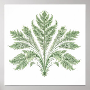 Ingewikkelde Botanische Symmetrie: Fractale Flora Poster