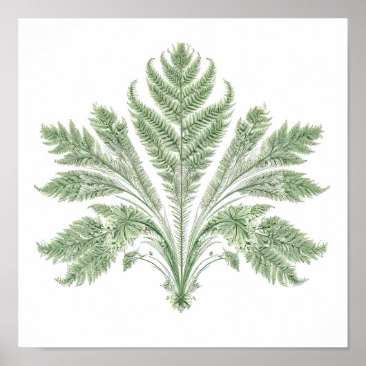 Ingewikkelde Botanische Symmetrie: Fractale Flora Poster (Voorkant)