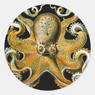 Ingewikkelde gouden octopus kunst ronde sticker