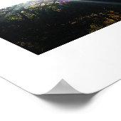 Ingewikkelde zonovergoten takken Hawaii kleurenfot Poster (Hoek)