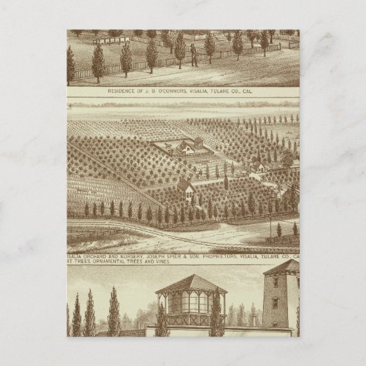 Ingezetenschap, kinderverzorging, stabiel, Visalia Briefkaart (Voorkant)